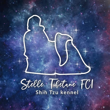 Stelle Tibetane FCI