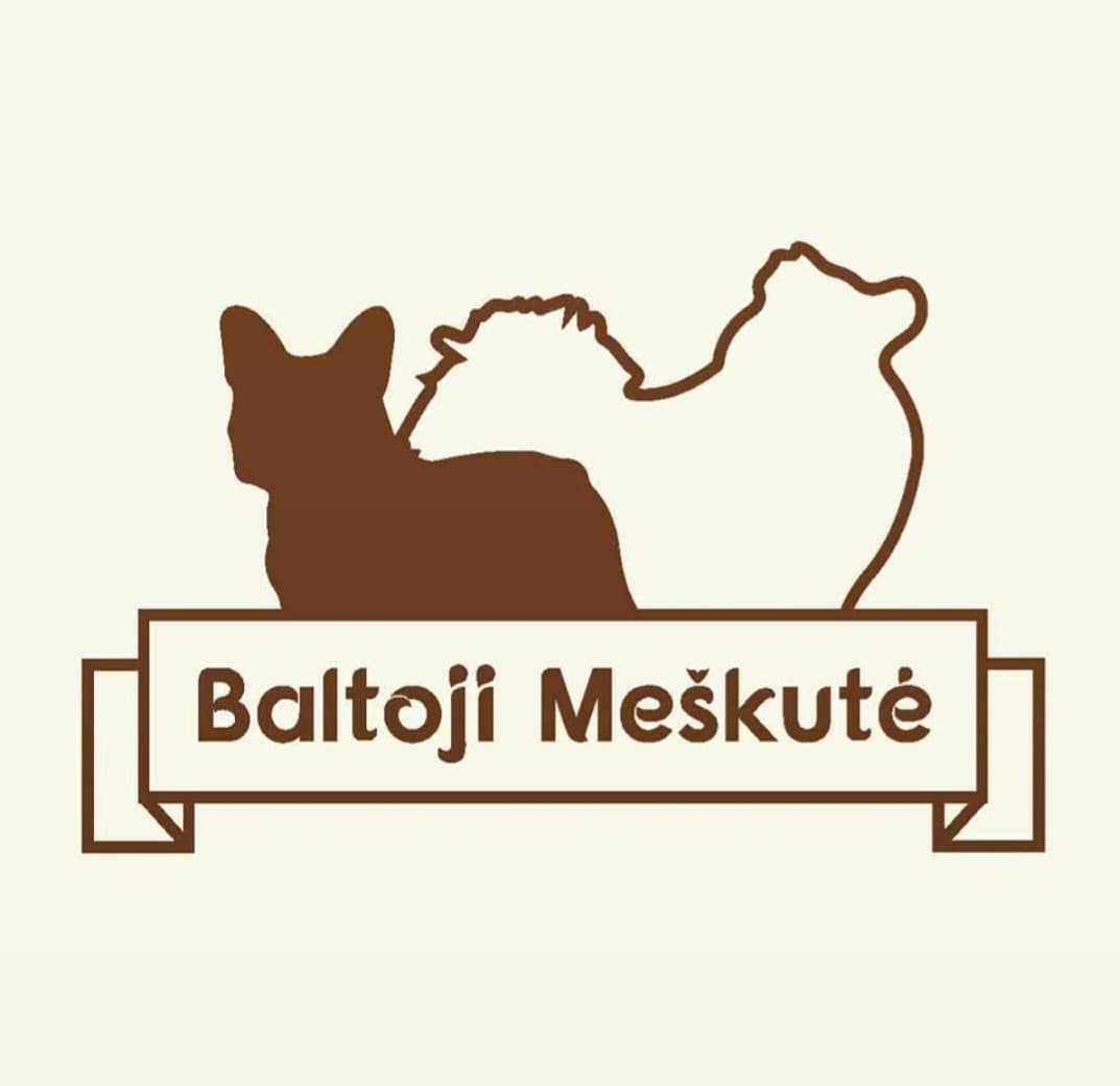 Veislynas Baltoji Meškutė