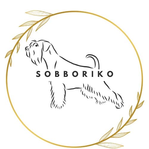 Sobboriko