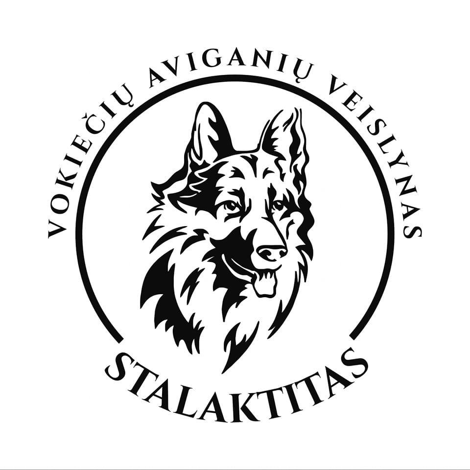 Veislynas STALAKTITAS