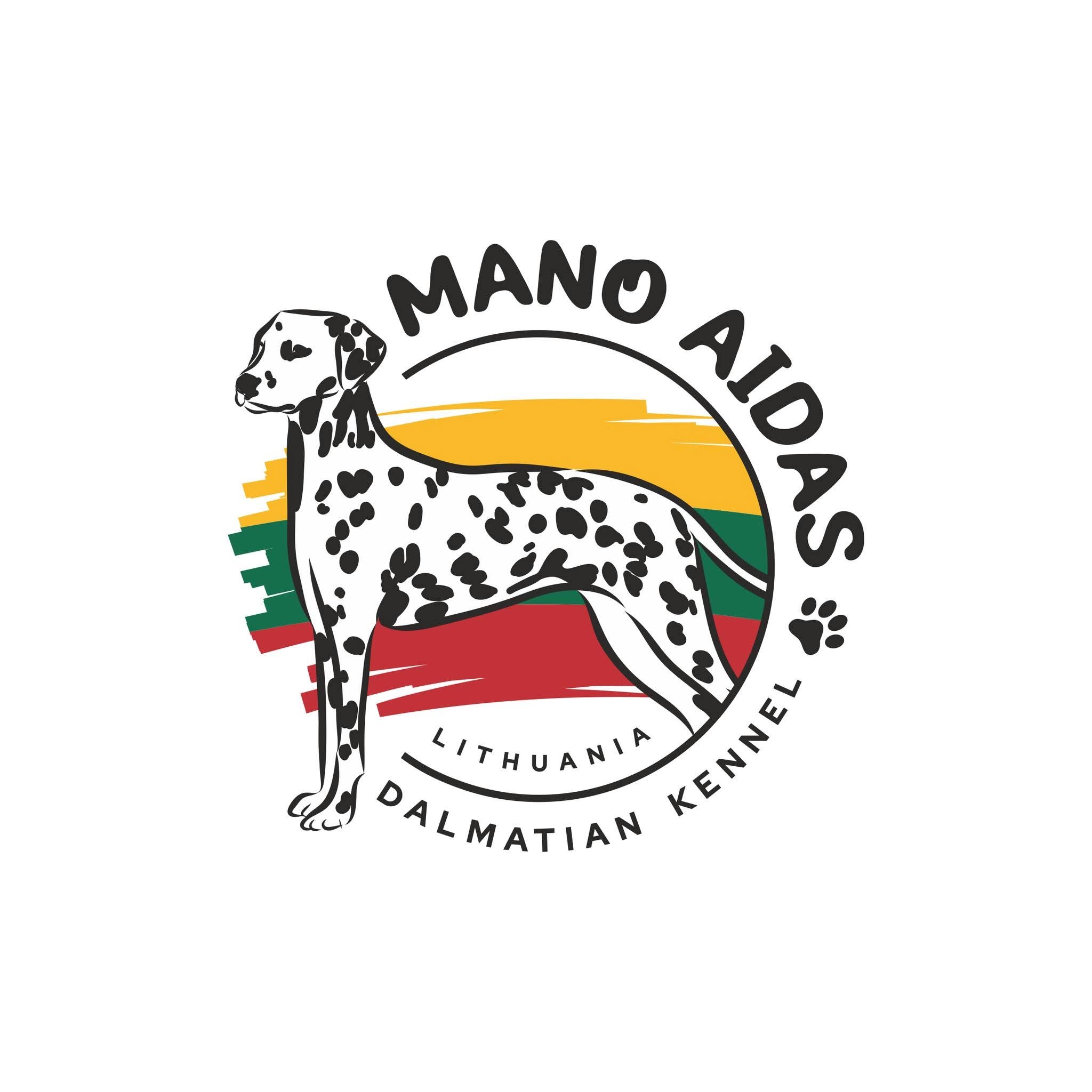 Dalmatian kennel Lithuania - Mano Aidas