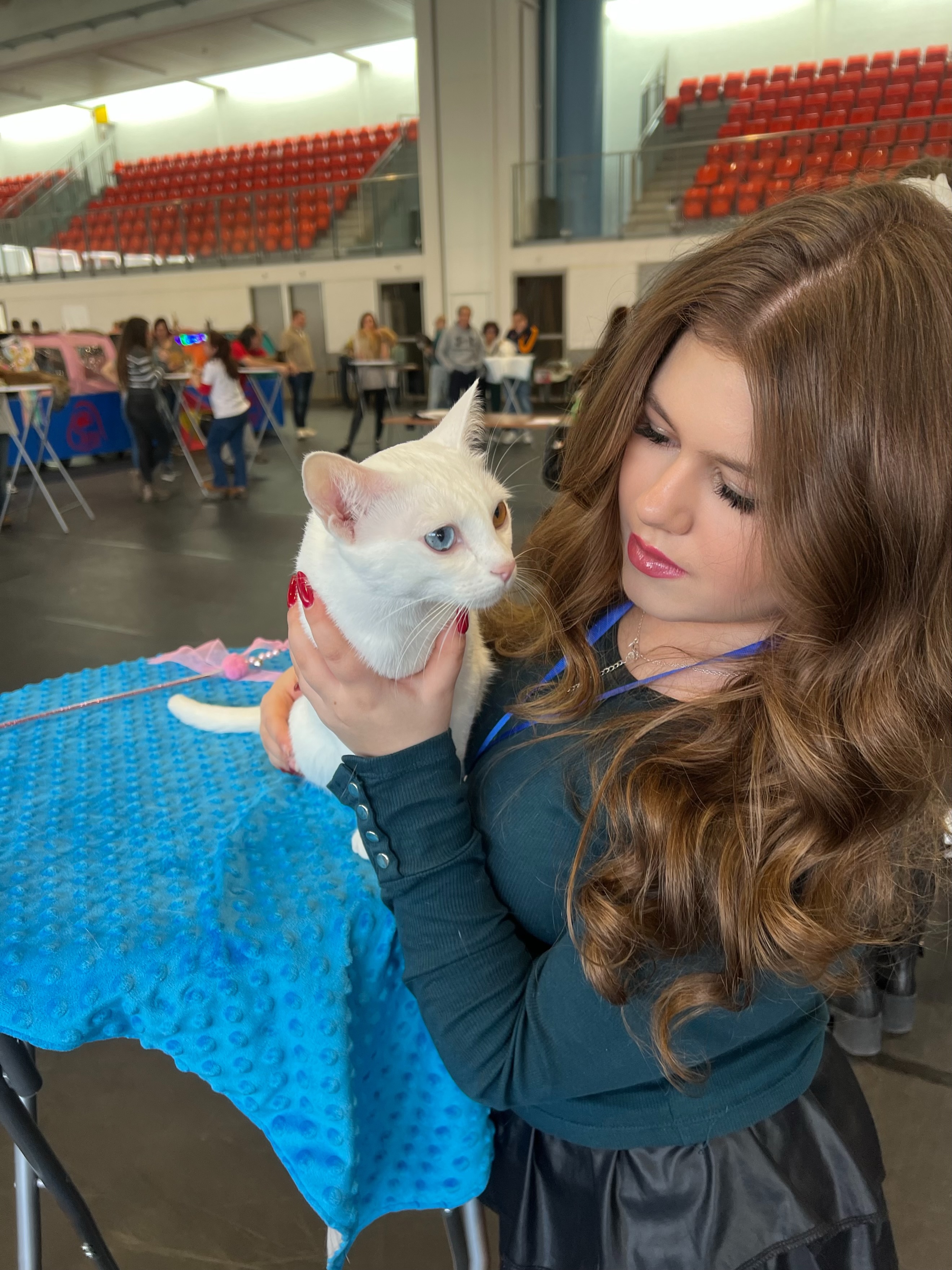 Weronika (DiamondEyes Khao Manee Cats)